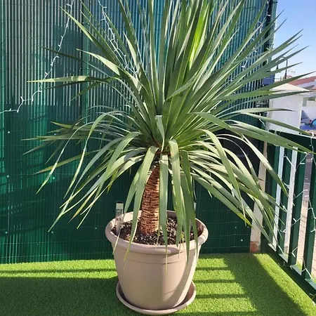 Maravillas De Tenerife Apartment Abades (Tenerife)